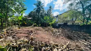 Land for Sale in Pannala