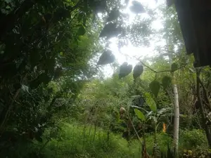 2 Lands for Sale Daulagala