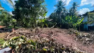 Land for Sale in Pannala