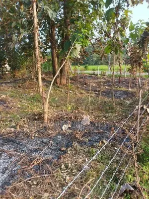 Land for Sale Ibbagamuwa