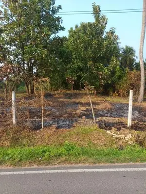 Land for Sale Ibbagamuwa