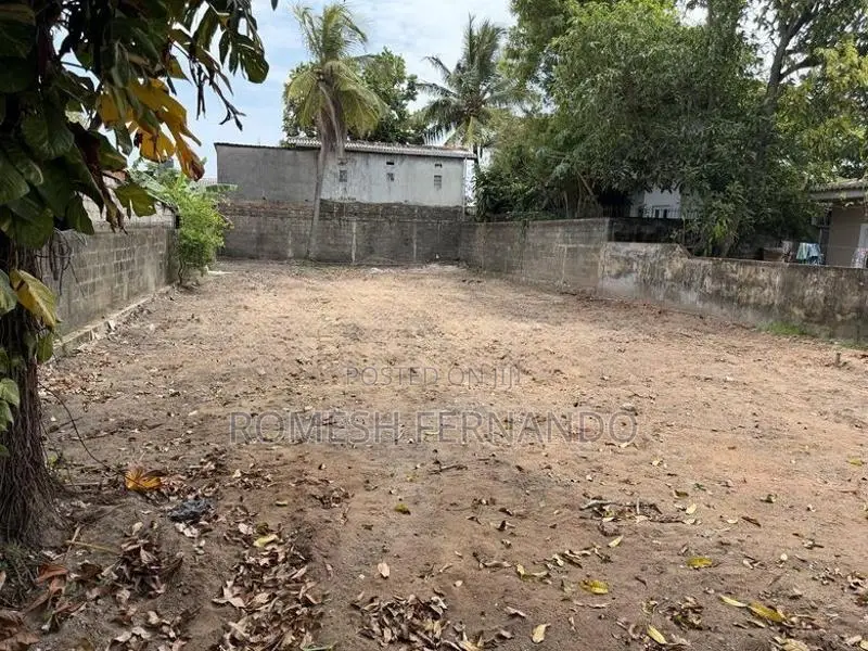 Negombo Prime Beachside Land For Sale In Kudapaduwa