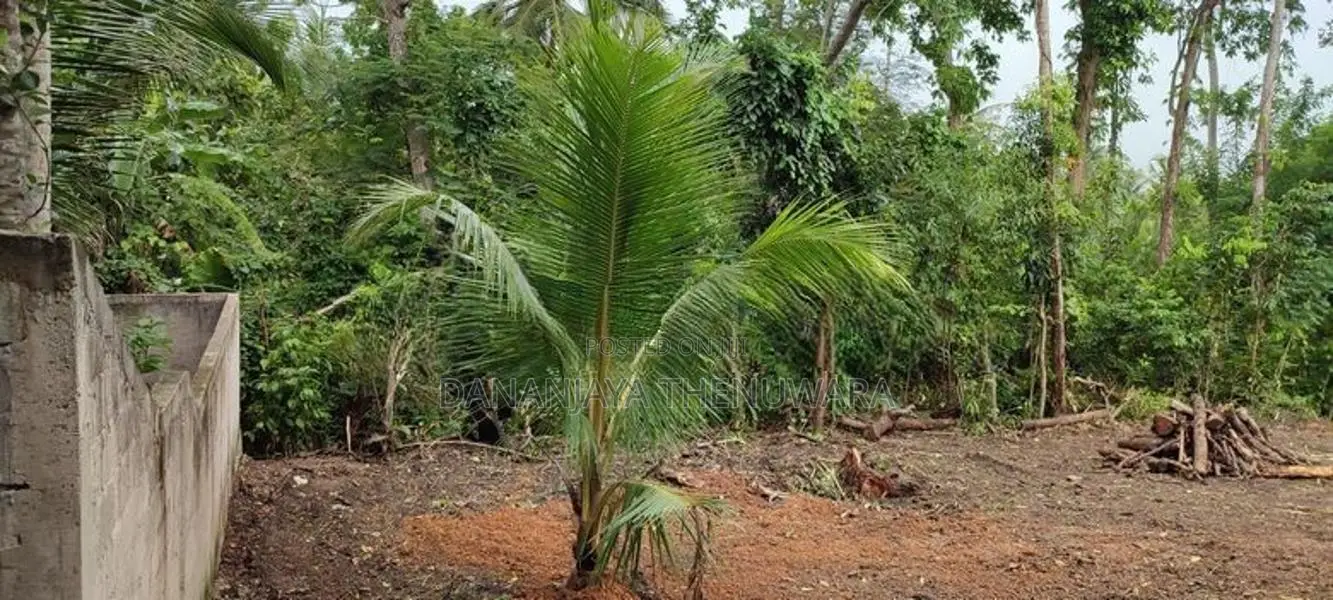 අම්බලන්ගොඩ ,වතුගෙදර, ශ්‍රීපති මාවතේ, පදිංචිය, වගාවට හොඳම ඉඩමක් විකිණීම