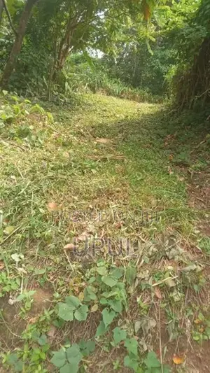 ඉඩම විකිනිමට Warakapola