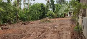 අම්බලන්ගොඩ ,වතුගෙදර, ශ්‍රීපති මාවතේ, පදිංචිය, වගාවට හොඳම ඉඩමක් විකිණීම