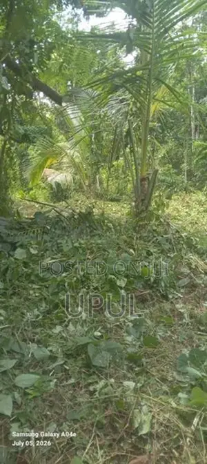 ඉඩම විකිනිමට Warakapola