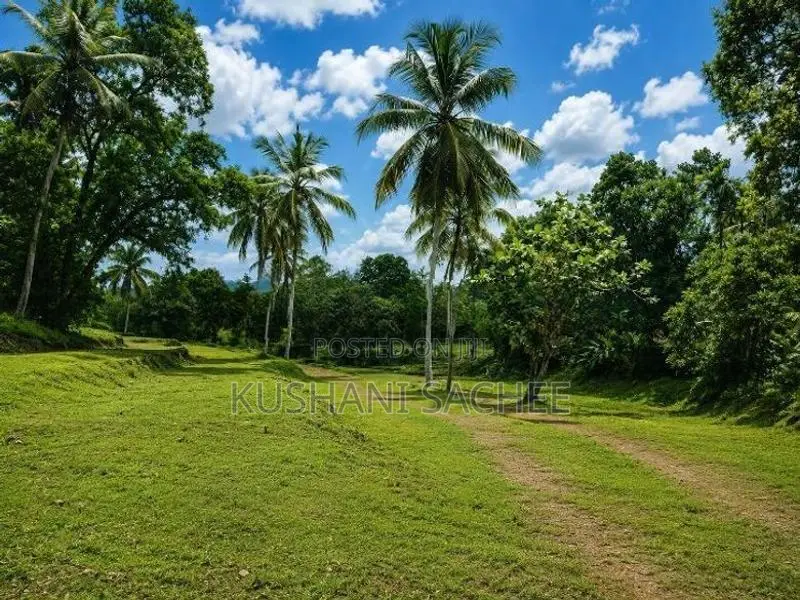 Kottawa Large Land with House