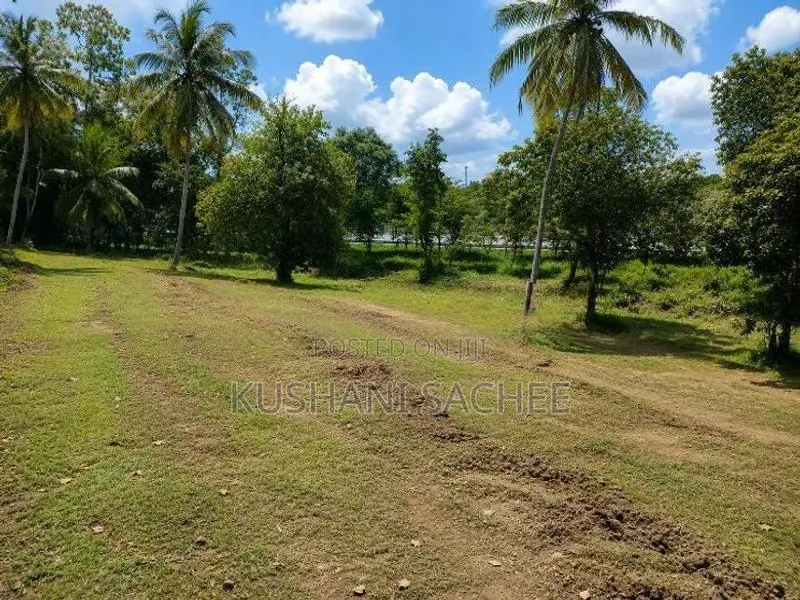 Kottawa Large Land with House