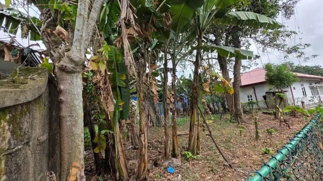 Land for Sale in Makola South