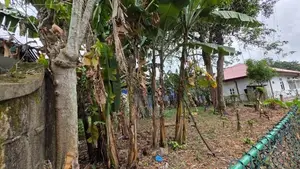 Land for Sale in Makola South