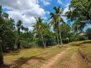 Kottawa Large Land with House