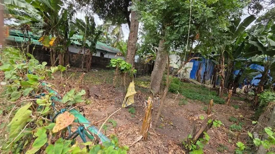Land for Sale in Makola South