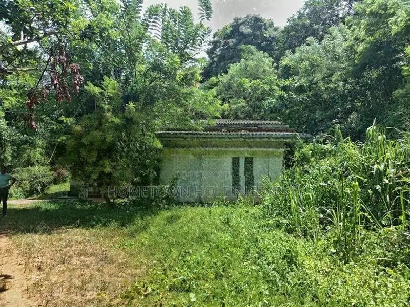 Rubber Land with House for Sale Nelumdeniya