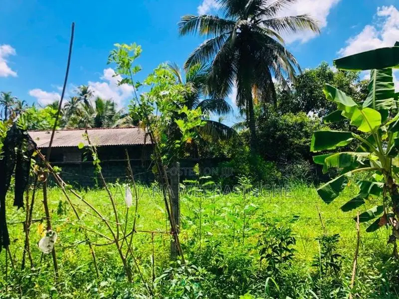 Veyangoda Land for Sale