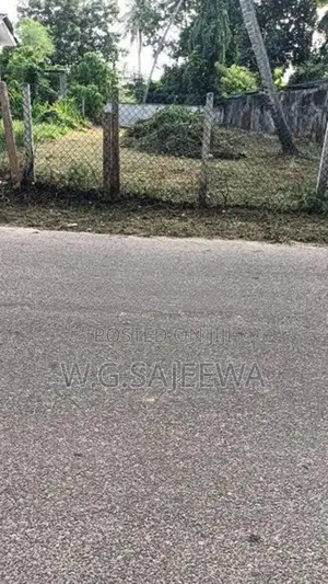 11.5 Perch Land for Sale Pallansena, Kochchikade