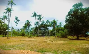 Land for Sale in Pannala