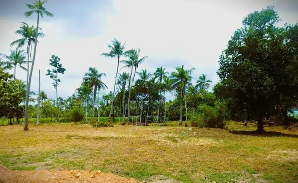 Land for Sale in Pannala
