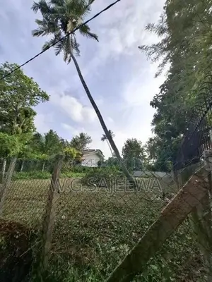 11.5 Perch Land for Sale Pallansena, Kochchikade