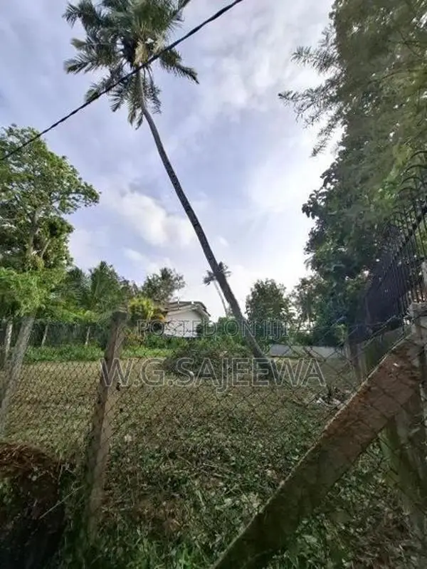 11.5 Perch Land for Sale Pallansena, Kochchikade