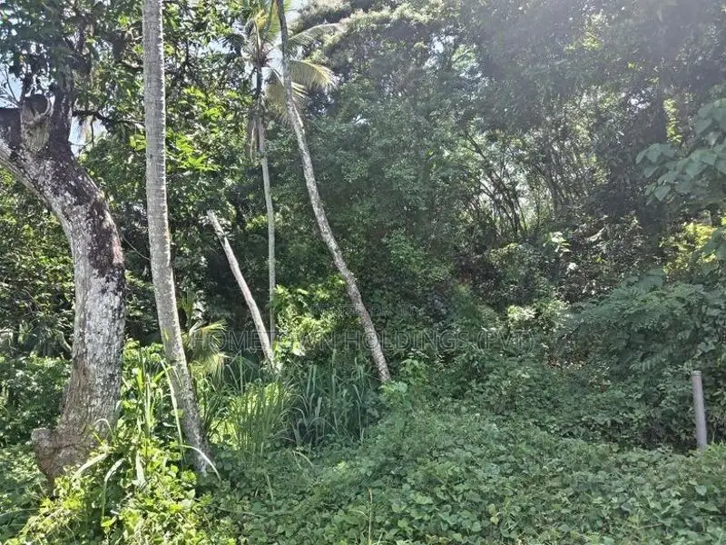 Rubber Land with House for Sale Nelumdeniya