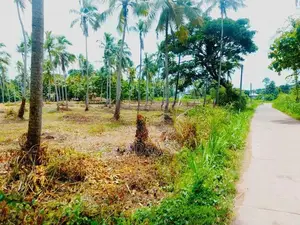 Land for Sale in Pannala