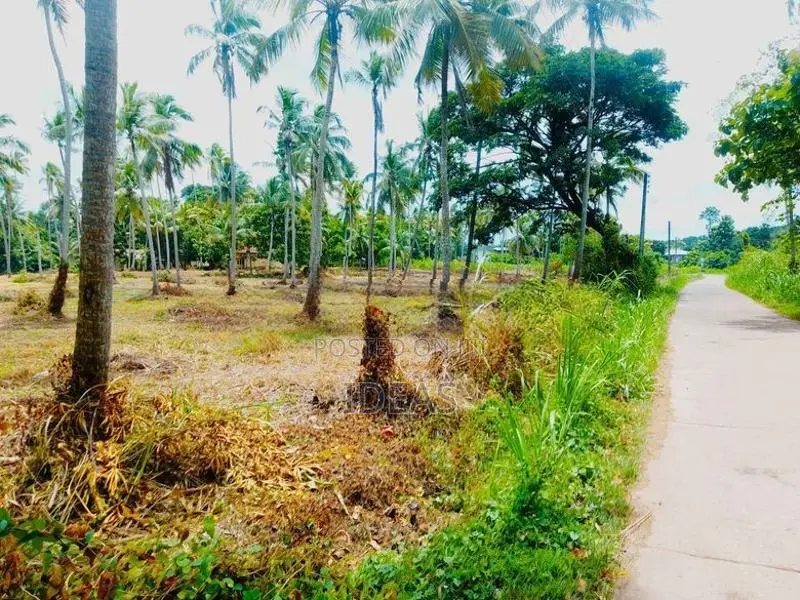 Land for Sale in Pannala