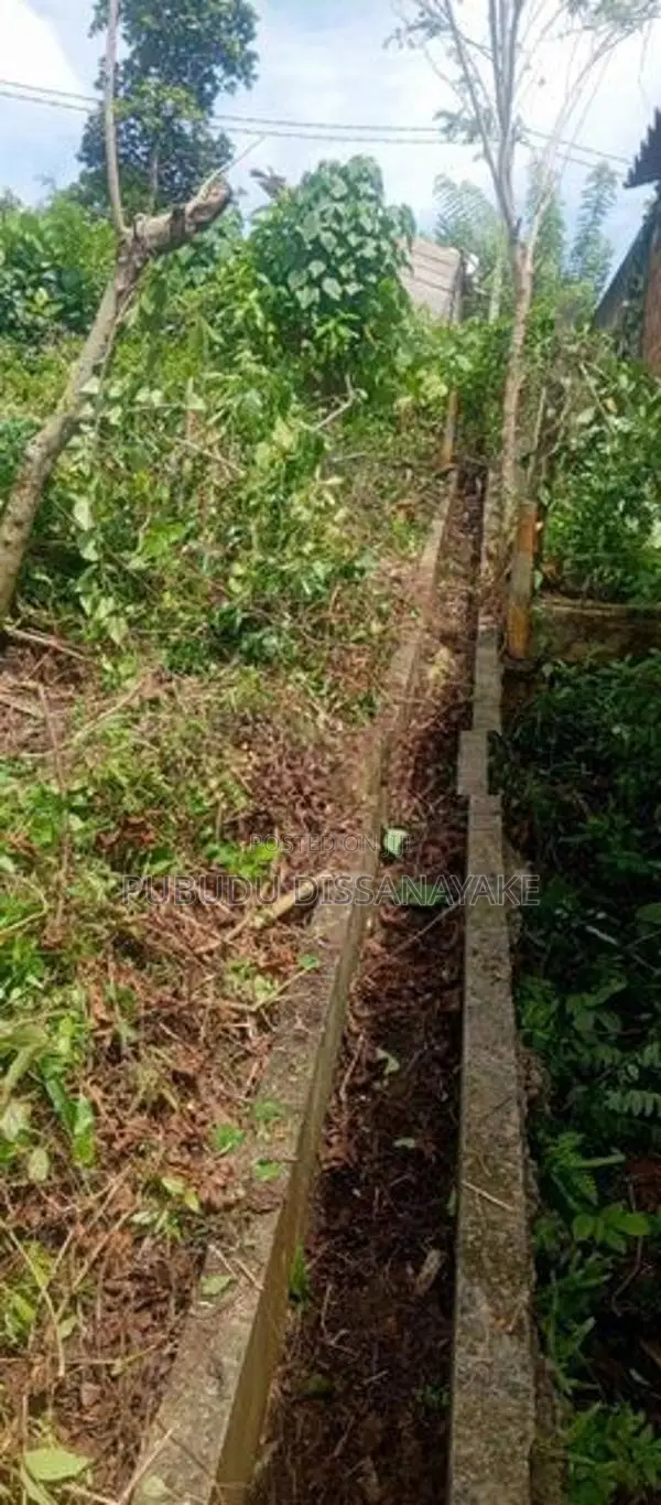 Residential Land for Sale in Gonapinuwala