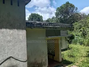 Rubber Land with House for Sale Nelumdeniya