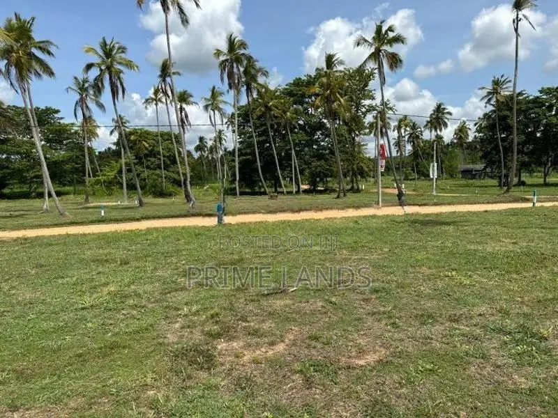 වාරියපොල නගරයෙන්ම නේවාසික කලාපයෙන් සුන්දර පරිසරයකින් ඉඩමක්