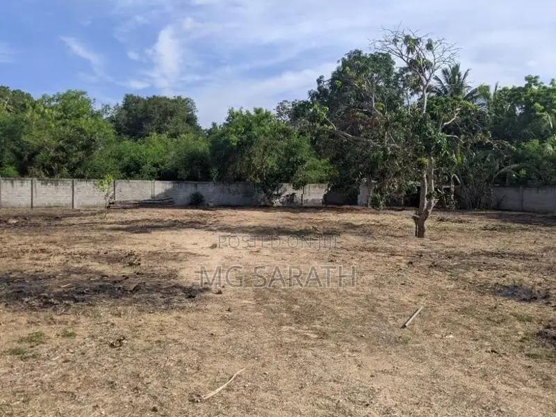Prime Land for Sale - Puttalam City Center