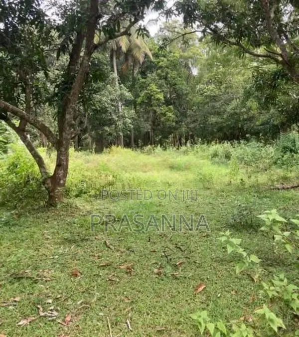 Land Sale Near to Polonnaruwa Town