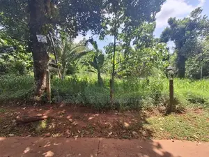 මාතලේ නගරය ආසන්නව, මඩවල උල්පත පිහිටි අගනා බිම් කොටස් දෙකක් විකිණීමට