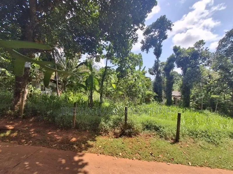 මාතලේ නගරය ආසන්නව, මඩවල උල්පත පිහිටි අගනා බිම් කොටස් දෙකක් විකිණීමට