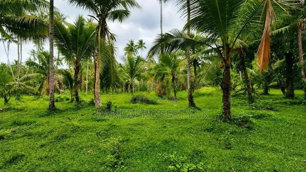 Valuable 5 Acres Land for Sale in Katana.