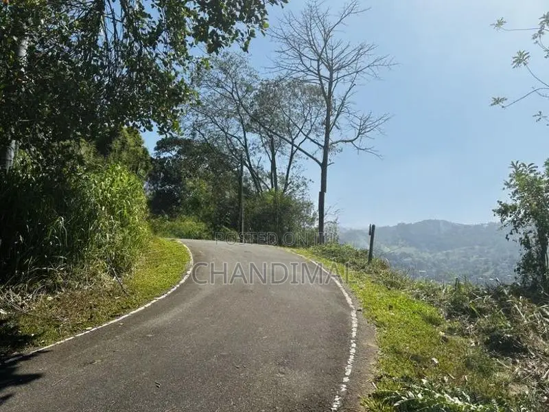 Mountain Land for Sale in Kandy