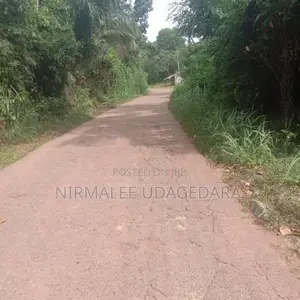 Land for Sale in Divulapitiya