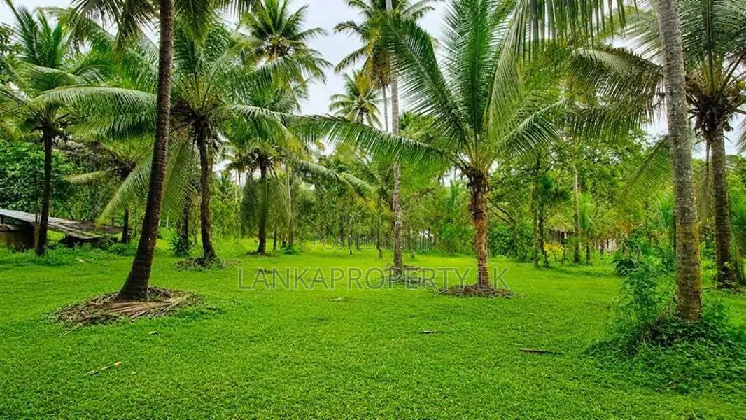 Valuable 5 Acres Land for Sale in Katana.