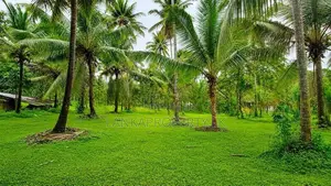 Valuable 5 Acres Land for Sale in Katana.