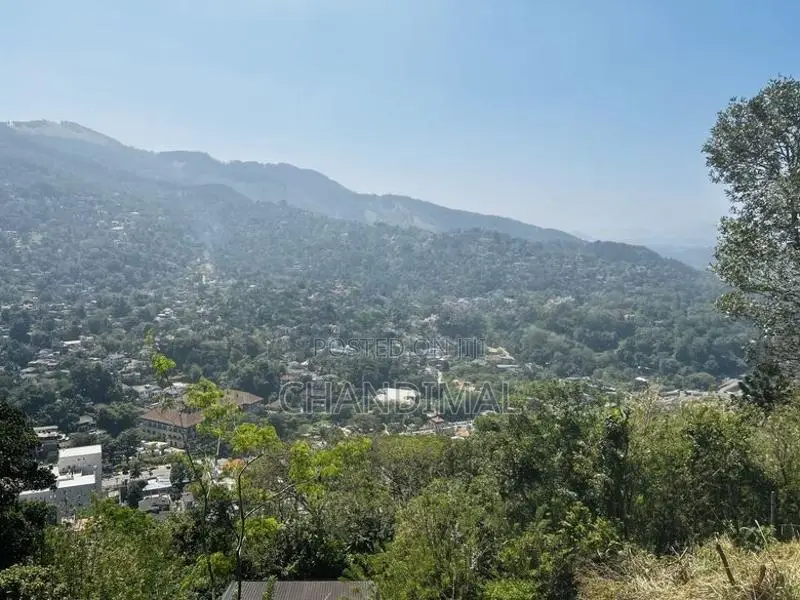 Mountain Land for Sale in Kandy