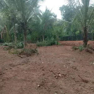 Land for Sale in Divulapitiya