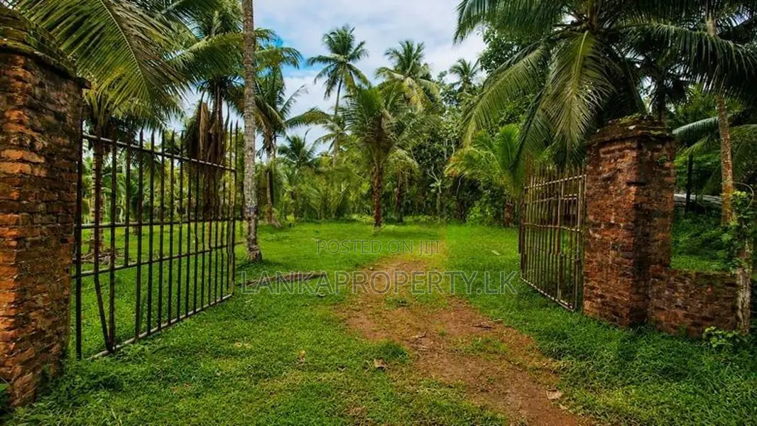 Valuable 5 Acres Land for Sale in Katana.