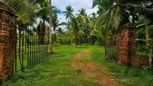 Valuable 5 Acres Land for Sale in Katana.