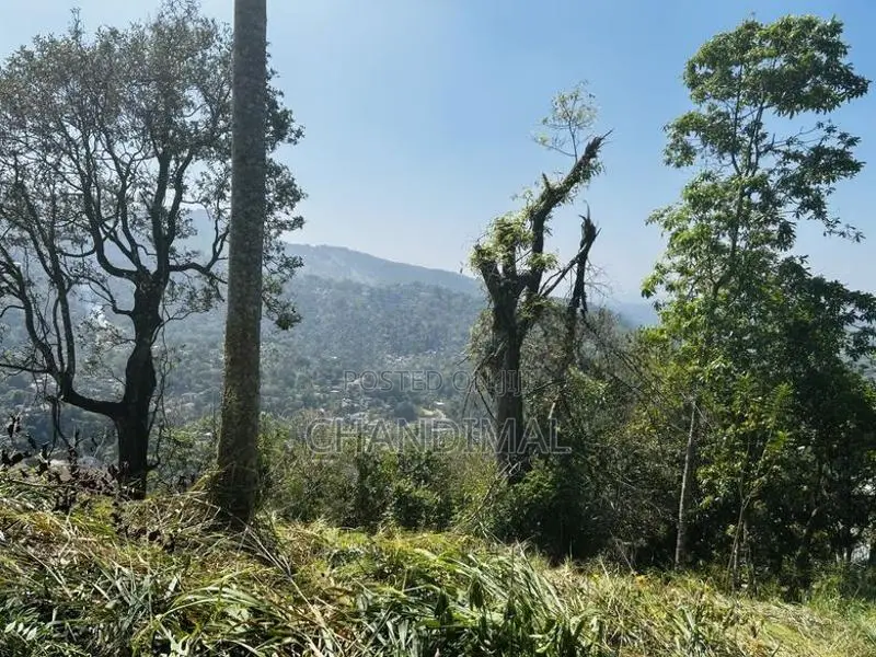 Mountain Land for Sale in Kandy