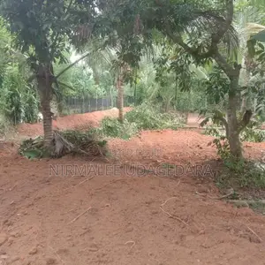 Land for Sale in Divulapitiya