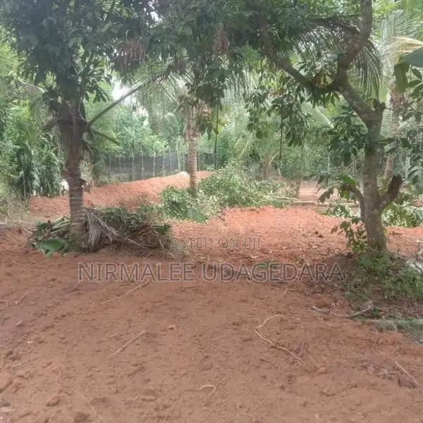 Land for Sale in Divulapitiya