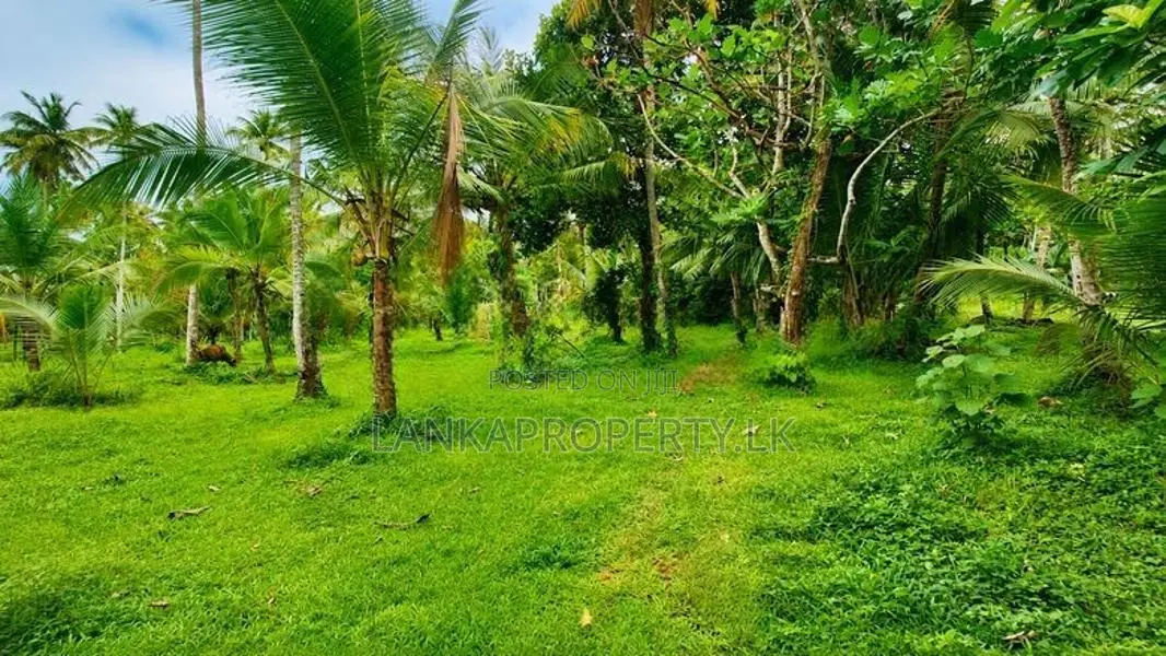 Valuable 5 Acres Land for Sale in Katana.