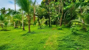 Valuable 5 Acres Land for Sale in Katana.