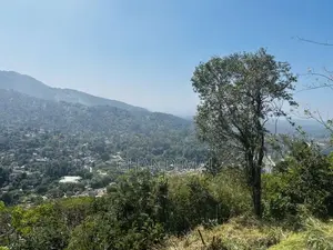 Mountain Land for Sale in Kandy