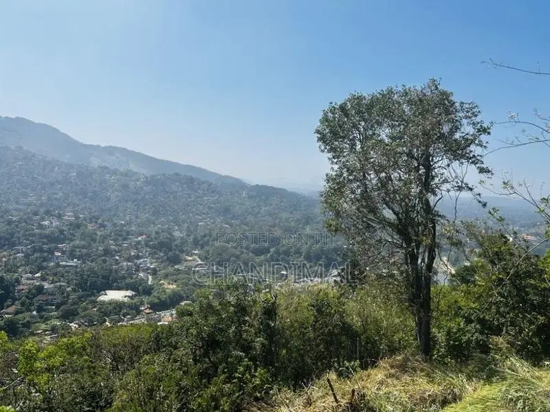 Mountain Land for Sale in Kandy