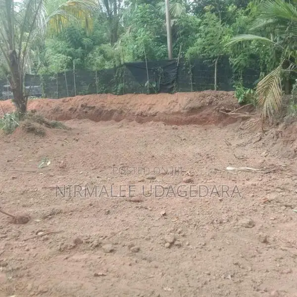 Land for Sale in Divulapitiya